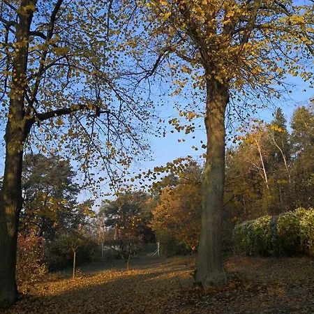 Familientreff Im Gruenen Mit Tennisplatz Holiday home *