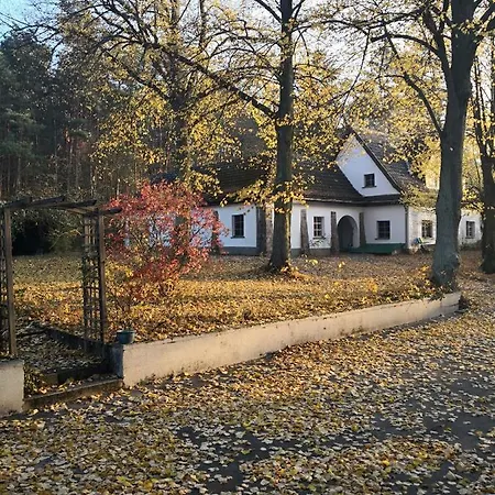 Familientreff Im Gruenen Mit Tennisplatz